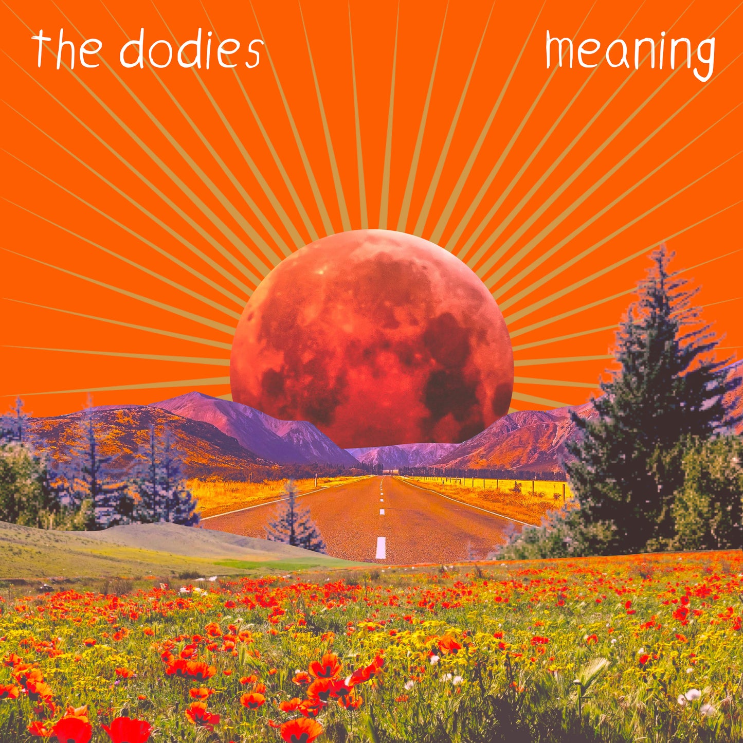 Meaning (Digital Download)